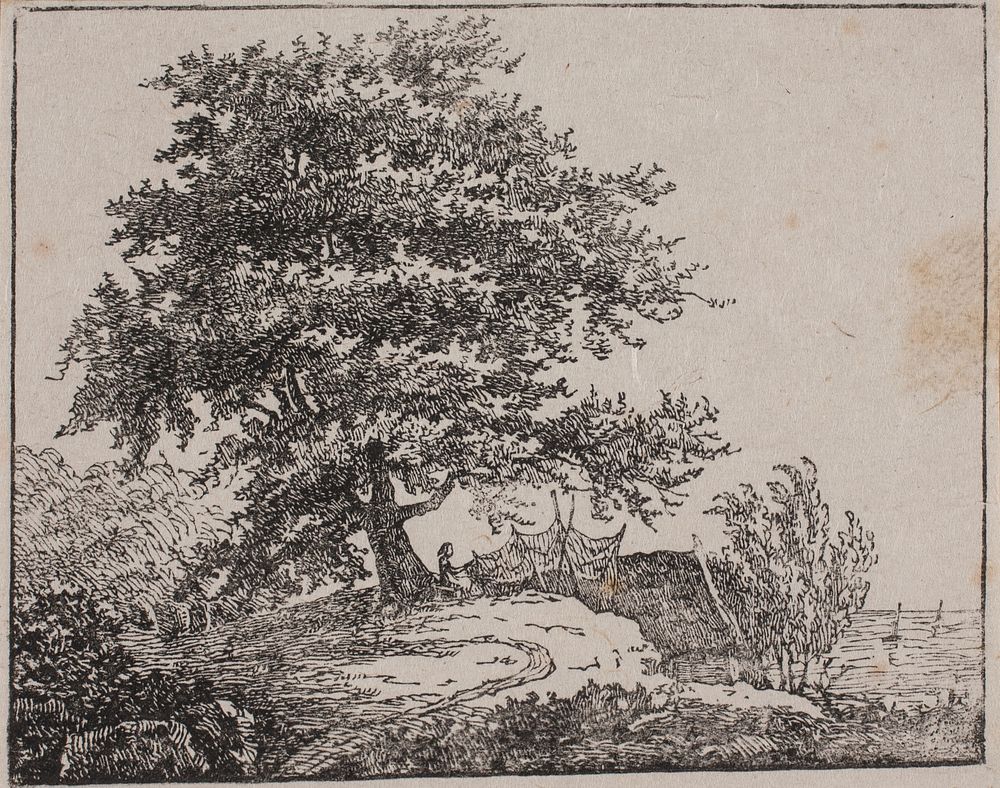 Tree on a cliff by the sea by Axel Theodor Kittendorff