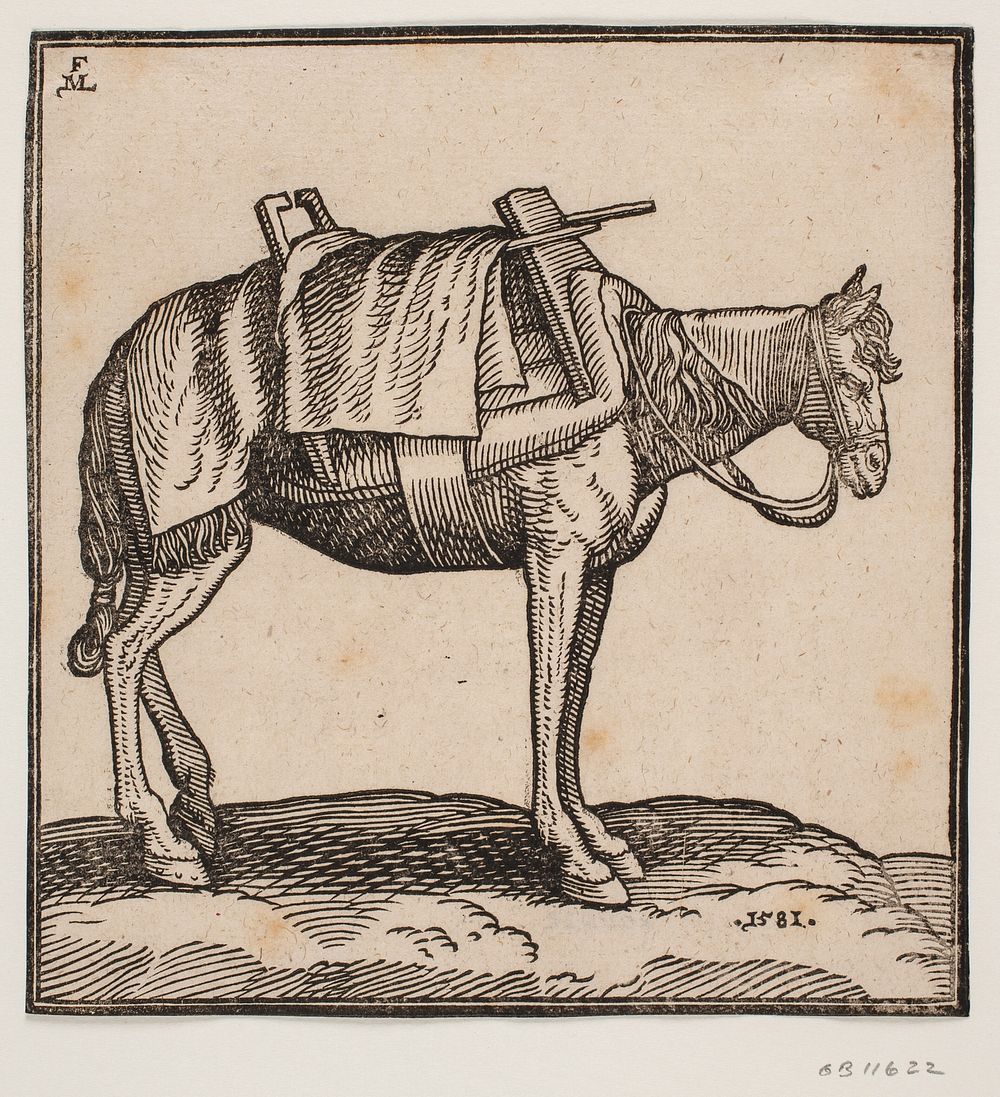 A saddled-up carrier-horse by Melchior Lorck
