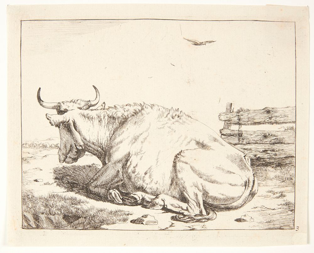 Lying cow by Marcus de Bye