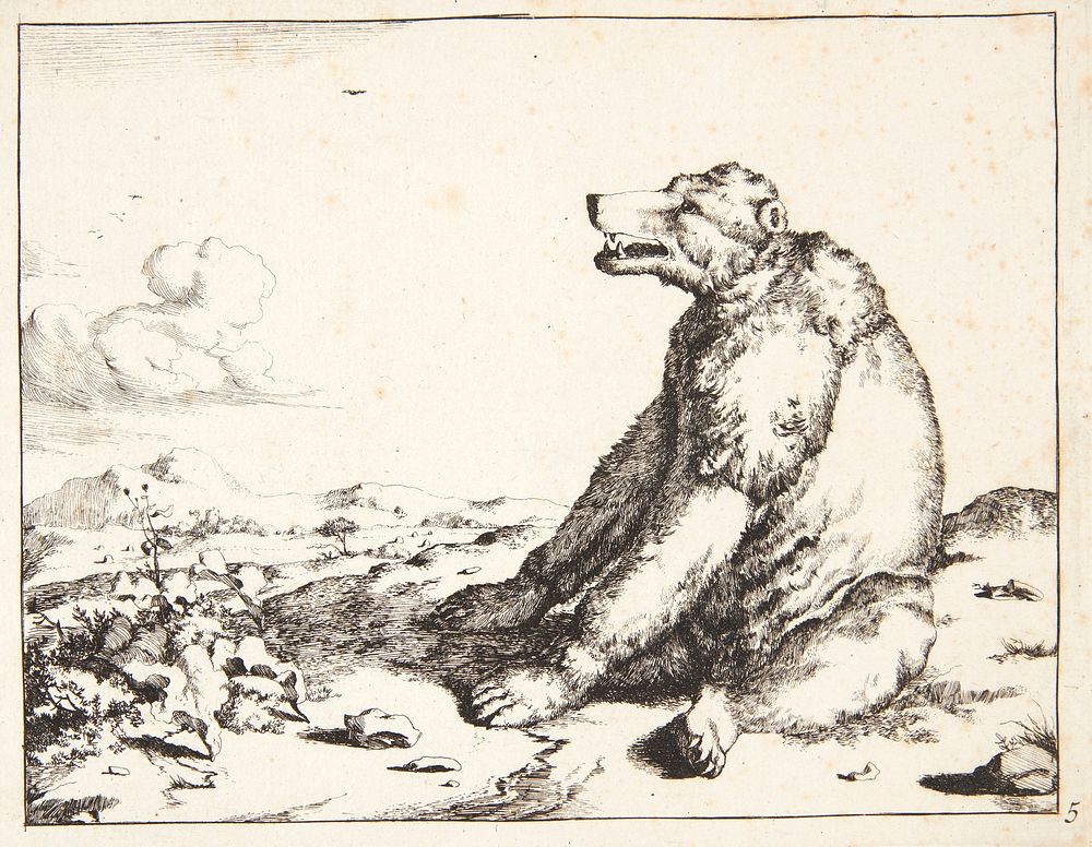 Seated bear, facing left by Marcus de Bye