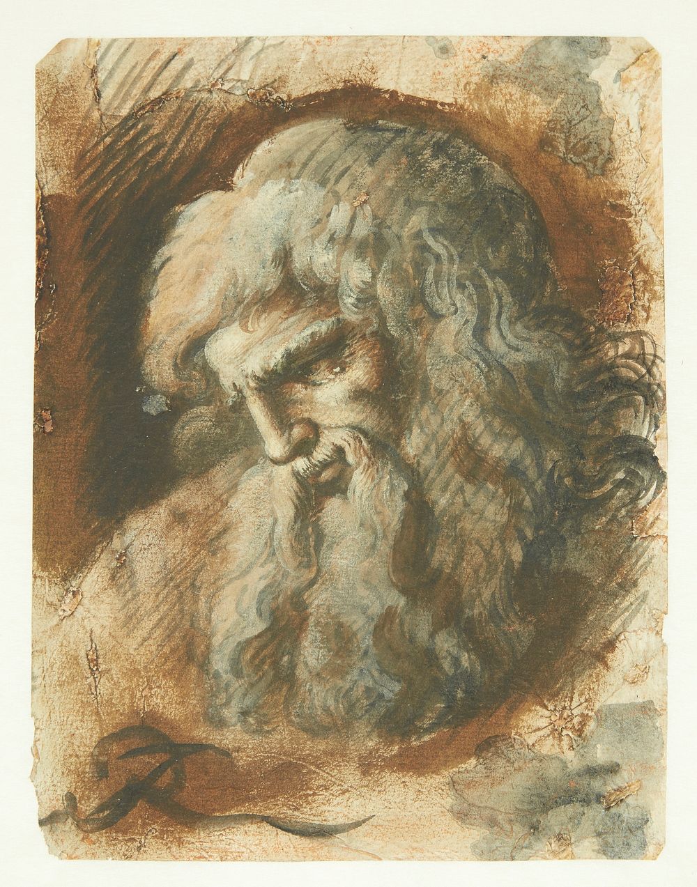 Bearded male head in profile to left by Giuseppe Ribera