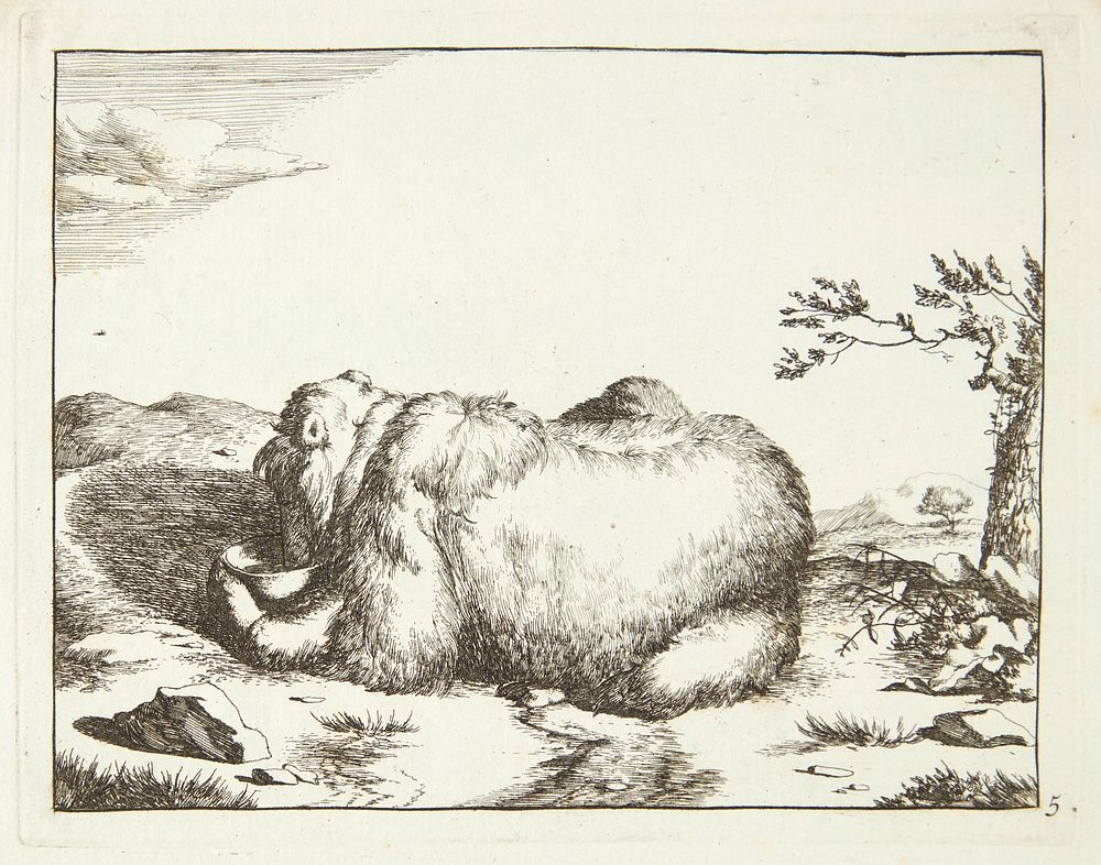 Lying bear, seen in profile, drinking from a bowl by Marcus de Bye