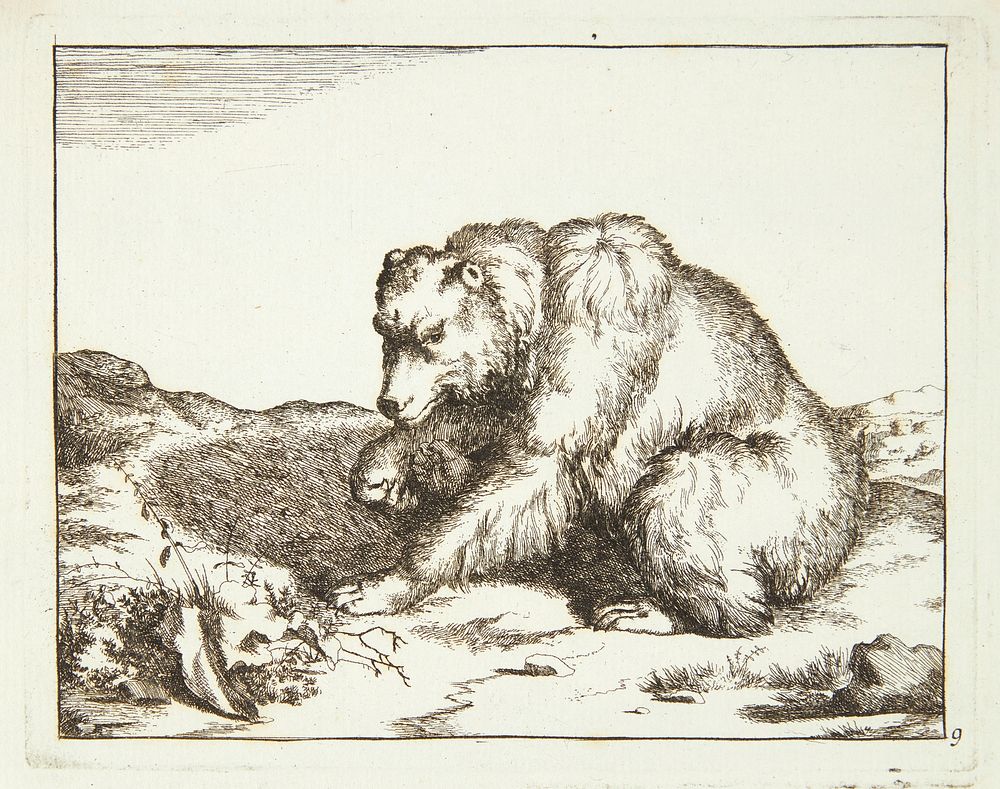 Seated bear, facing left by Marcus de Bye
