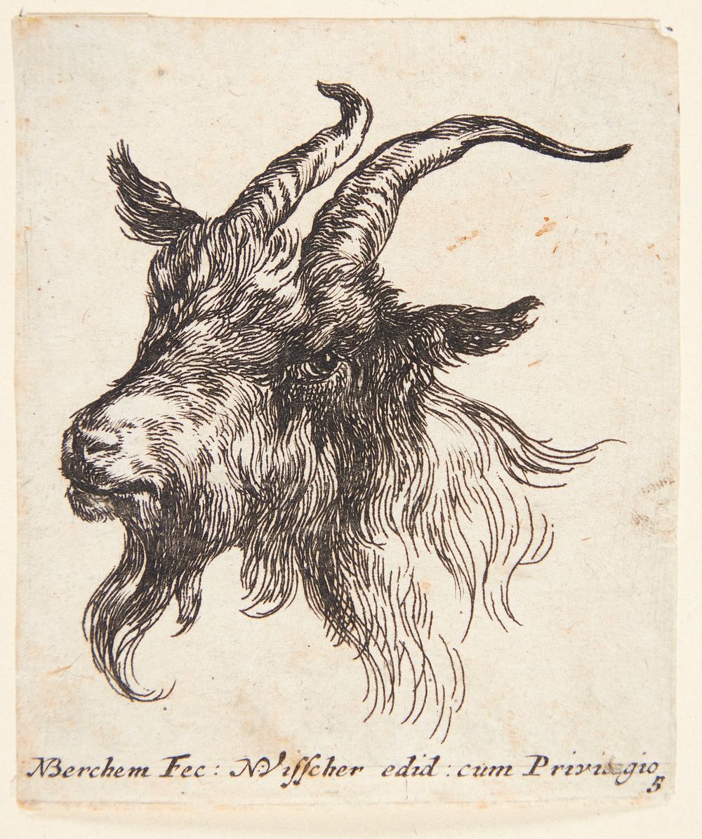 Goat's head facing left