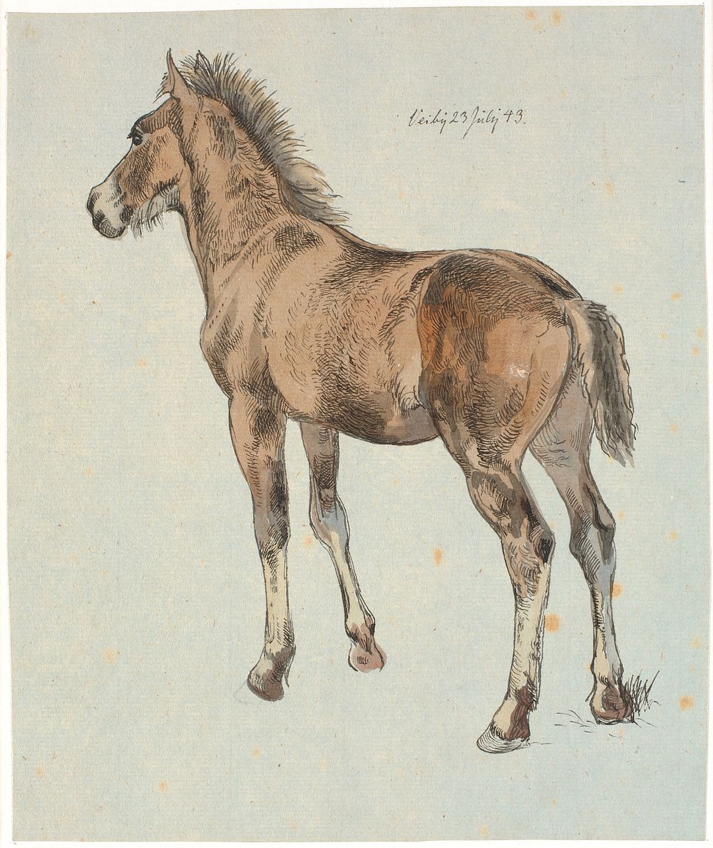 A standing foal by Johan Thomas Lundbye