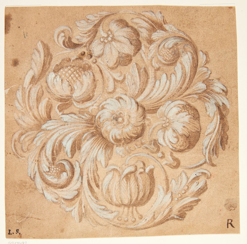Floral ornament   by unknown