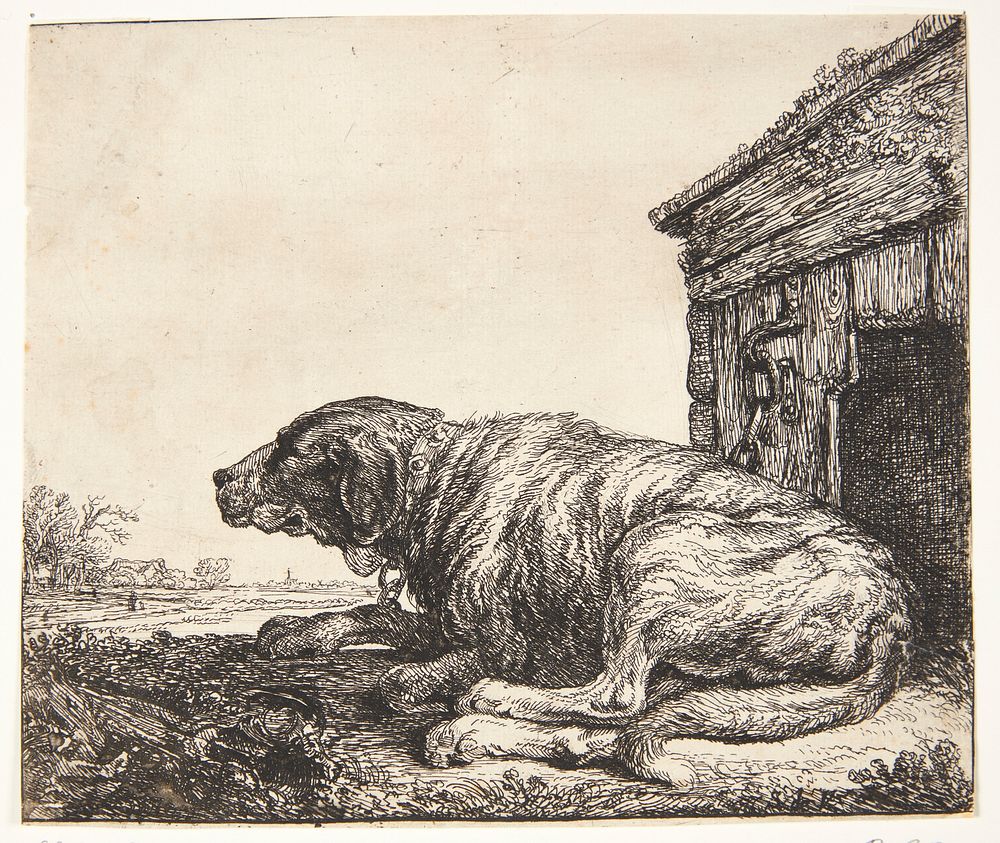 Leash dog by Simon De Vlieger