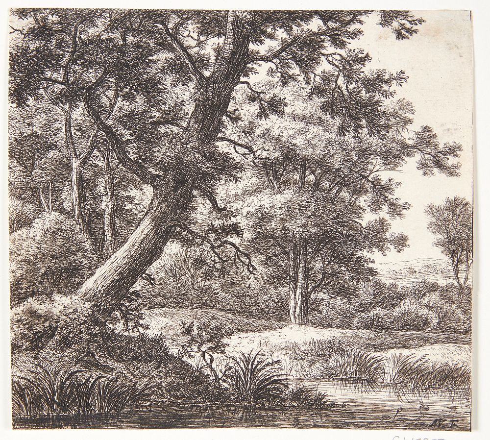Brook with a leaning tree by Anthonie Waterloo