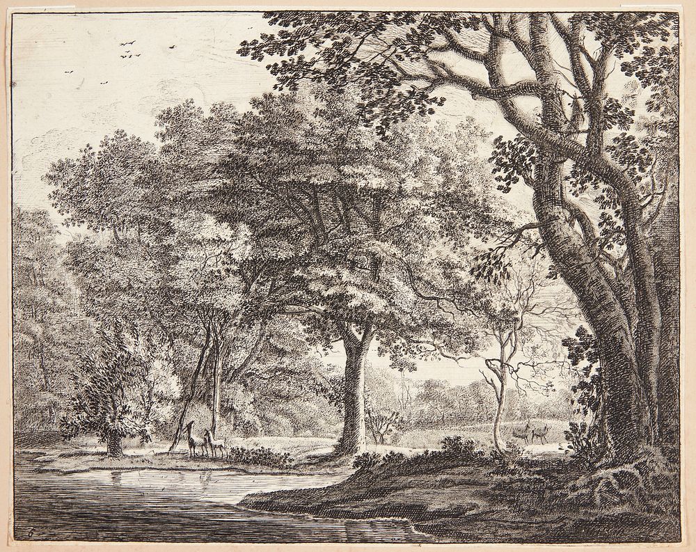 Woodland with deer by Roelant Roghman