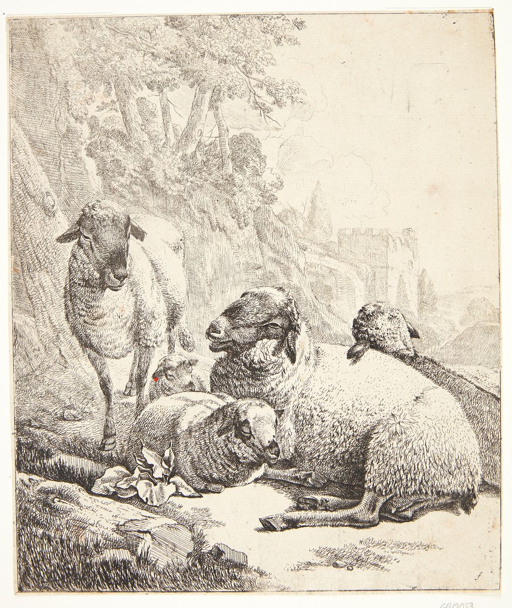 One standing and four lying sheep by Johann Heinrich Roos