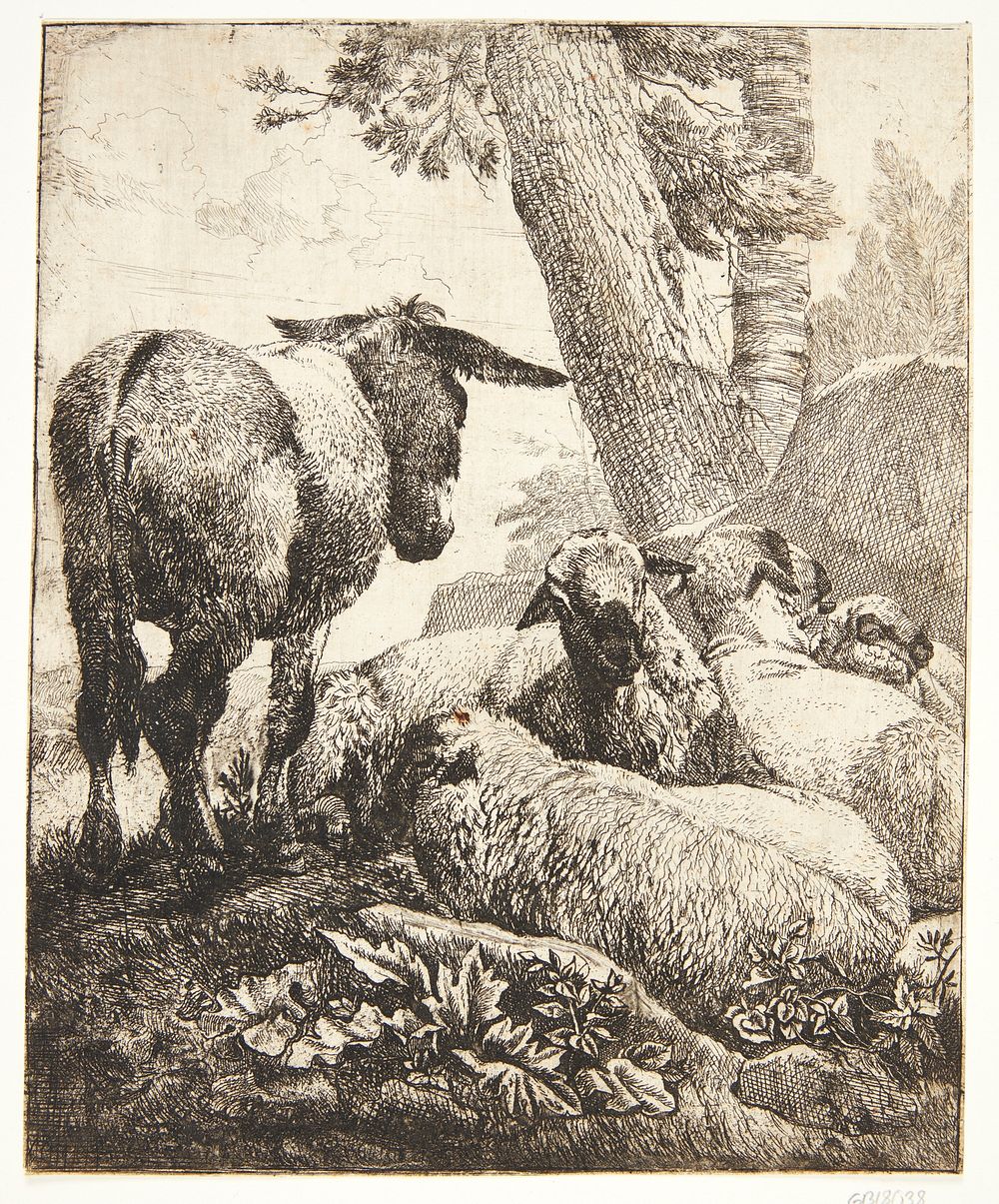 Standing donkey and four lying sheep by Johann Heinrich Roos