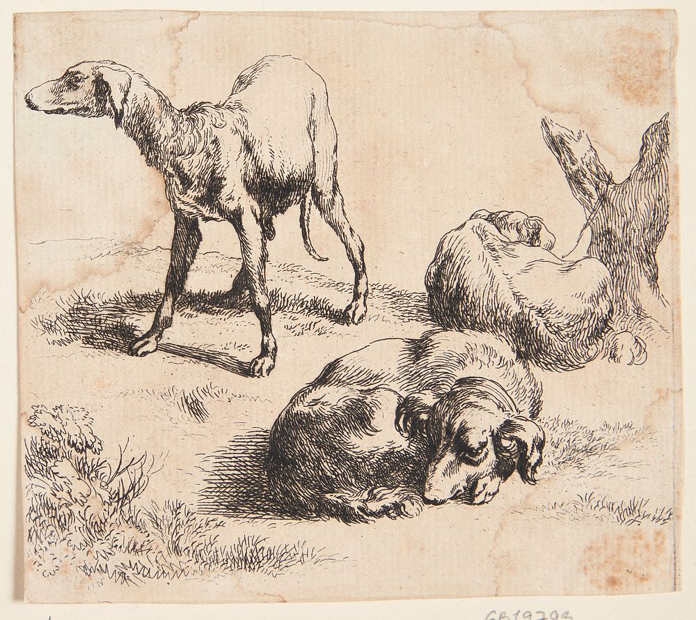 Three hunting dogs by Nicolaes Berchem