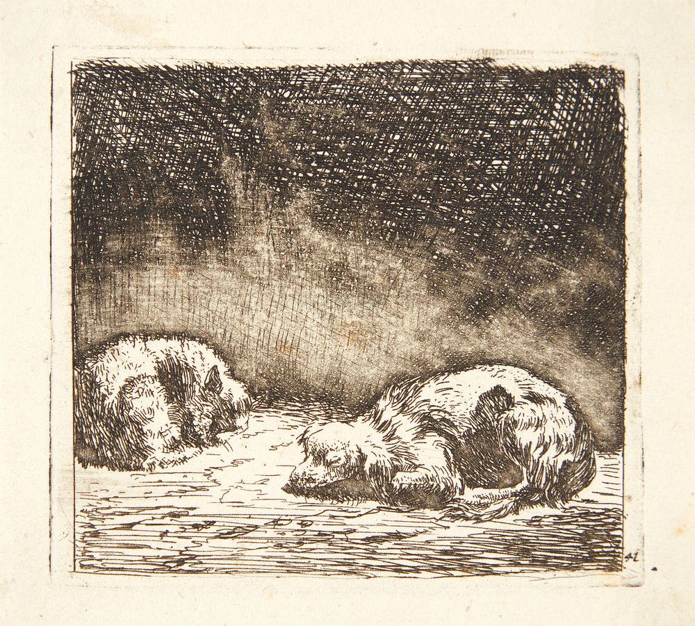 Two sheep by Karel Du Jardin