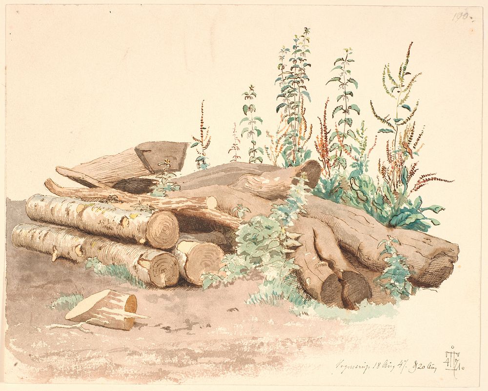 Some felled tree trunks, a water trough and various plant growths by Johan Thomas Lundbye