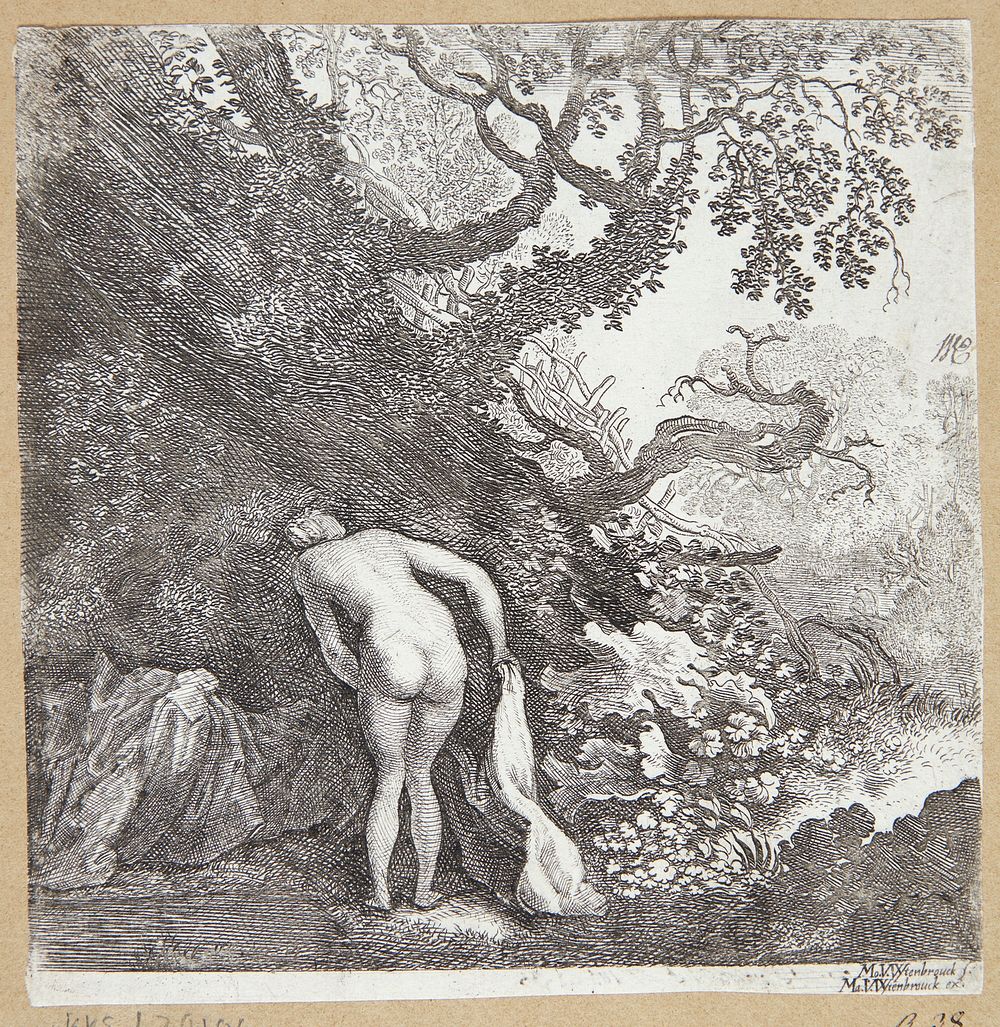 Bathing woman, rear view by Moyses Van Wtenbrouck