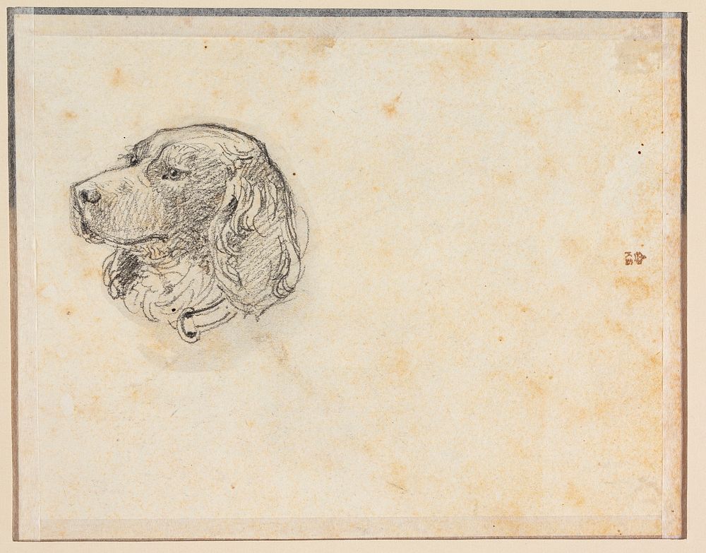 A dog's head by Constantin Hansen