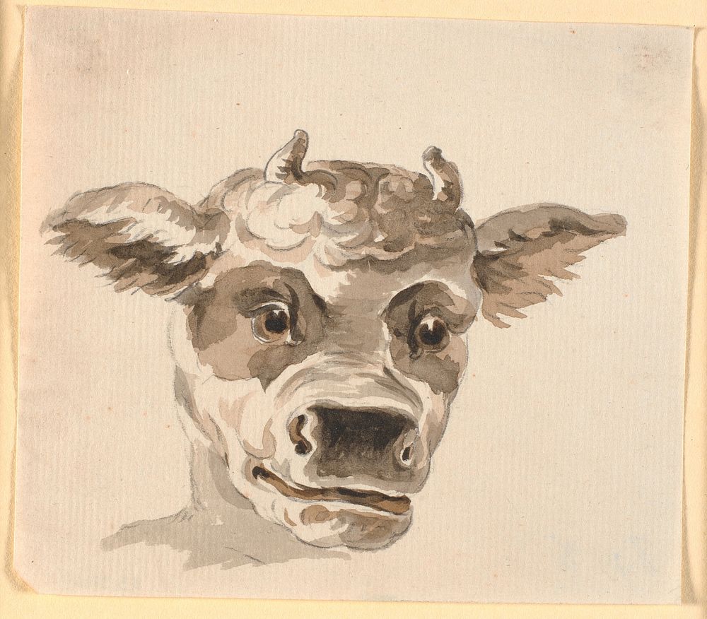 Minotaur's head by Nicolai Abildgaard