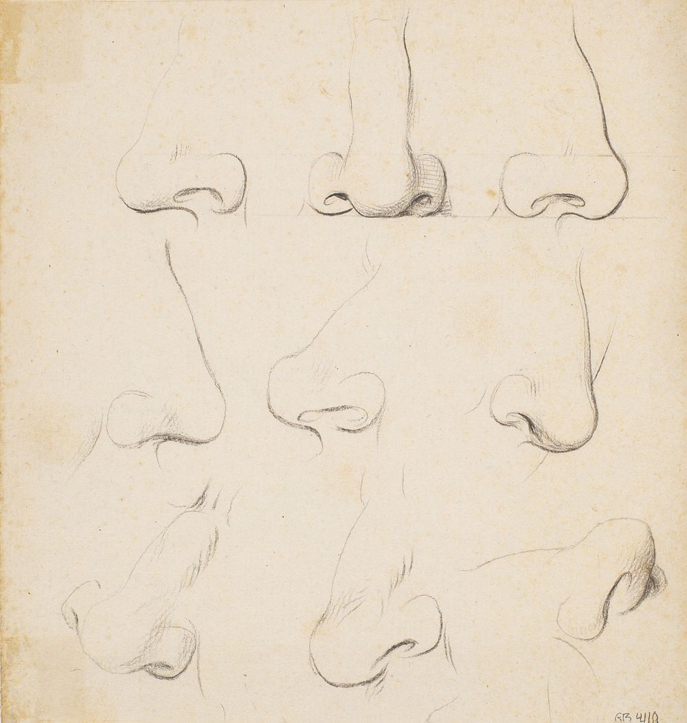 Nine studies of noses by Nicolai Abildgaard