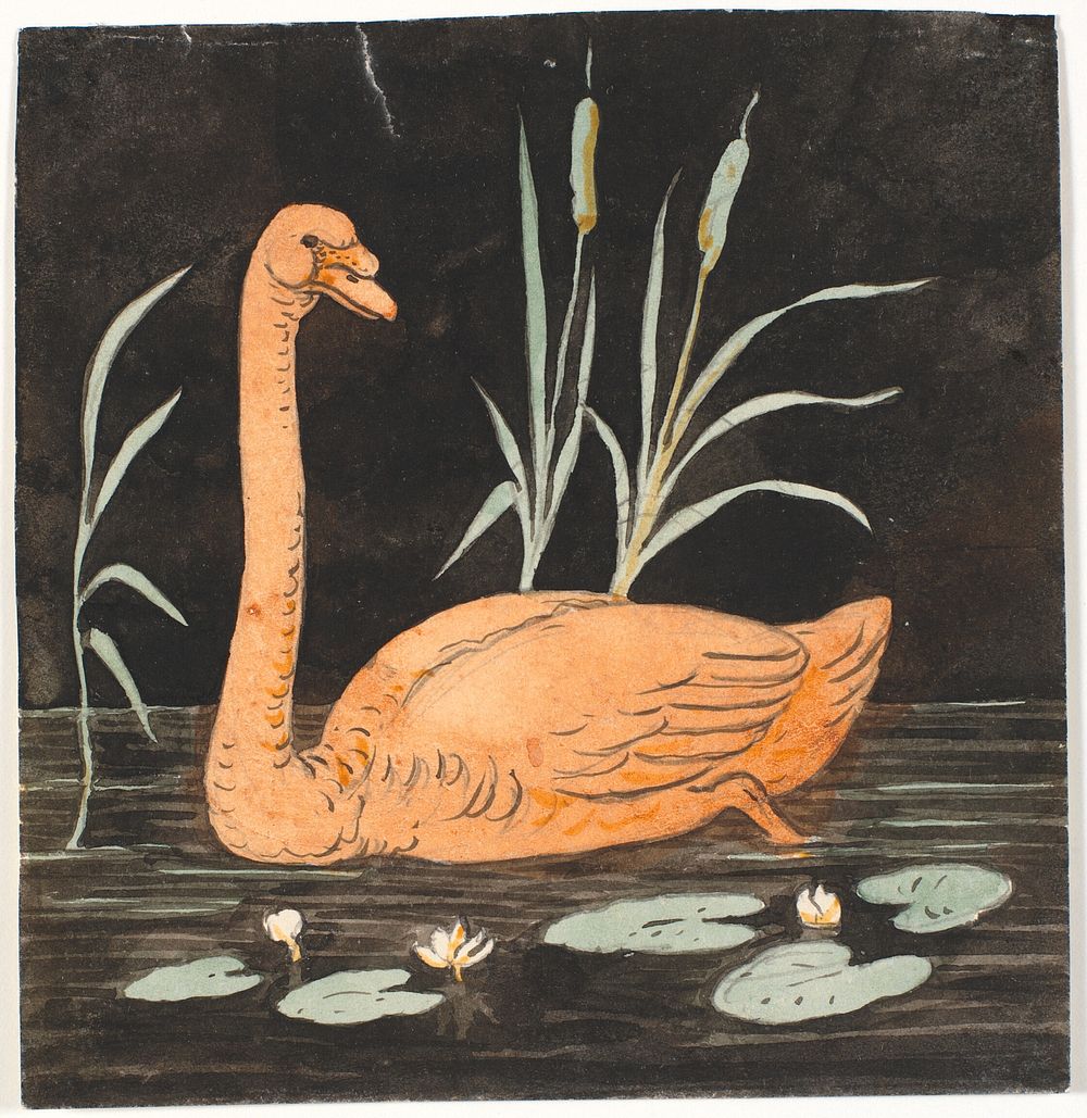 A swan on a black background.Decorative draft. by P. C. Skovgaard