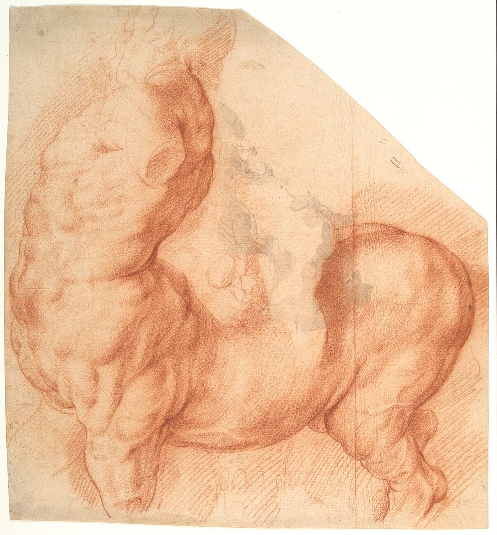 Centaur Tamed. by Willem Panneels
