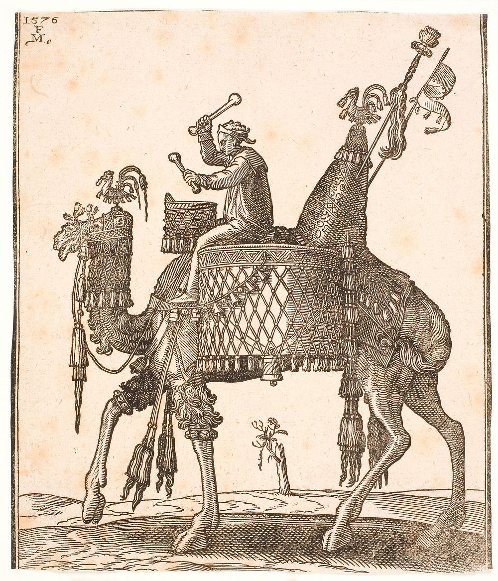A splendidly saddled dromedary with a drummer as rider