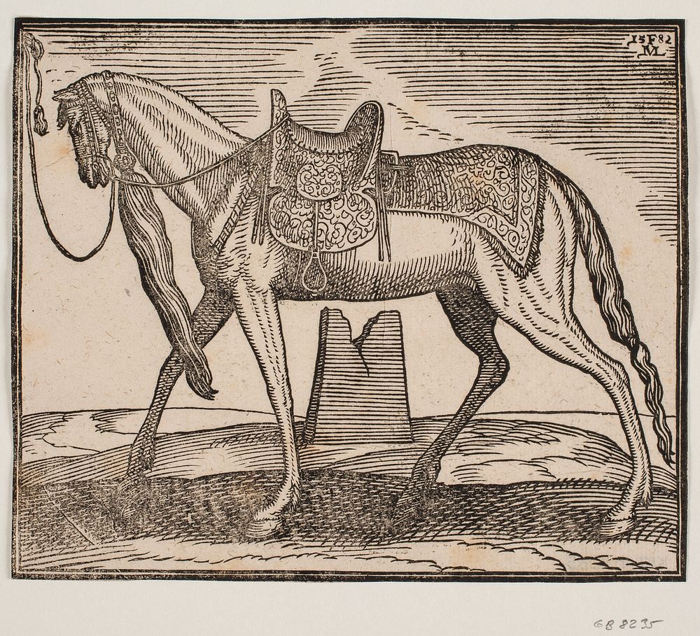 Elegant saddled horse, tethered by v. framing line, profile to v.;under the horse's belly you can see a ruined one by…