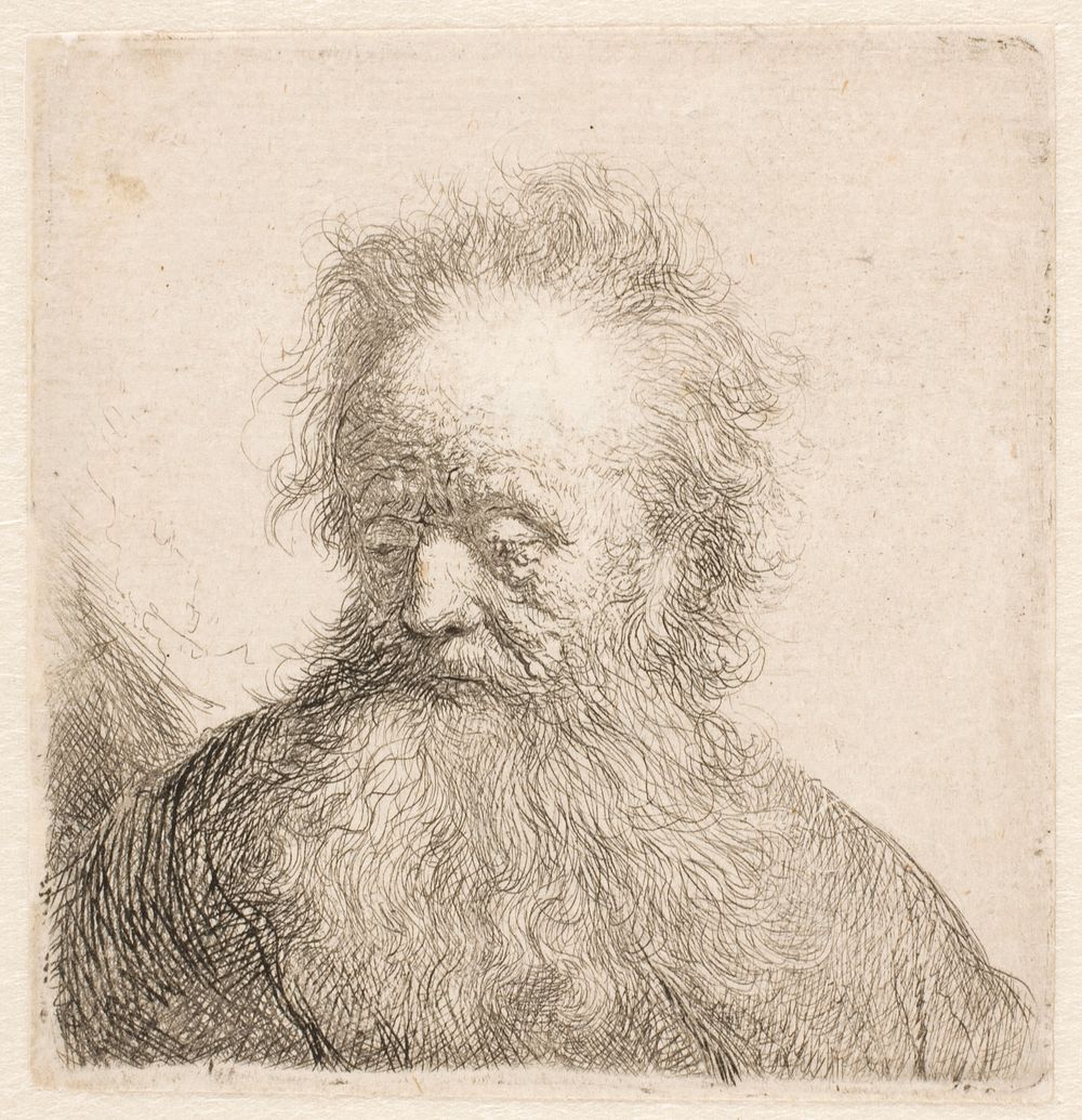 Head and shoulder of old bearded man by Rembrandt van Rijn
