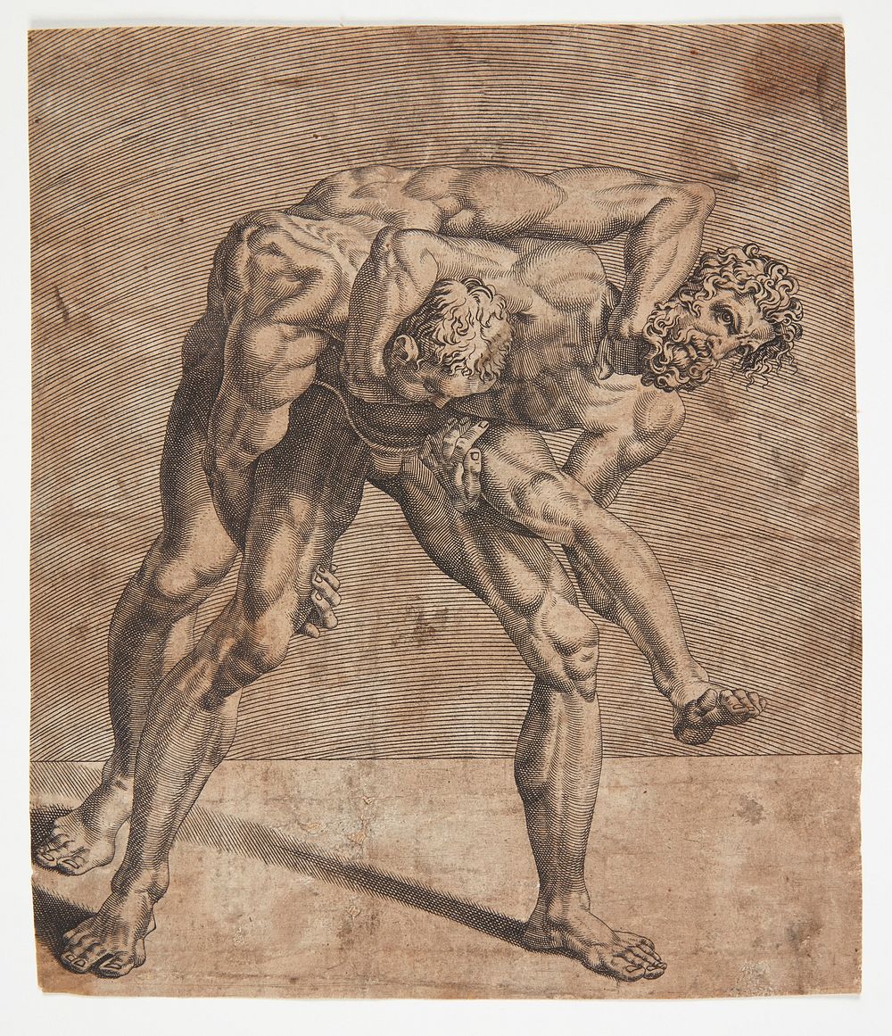 Two wrestlers by Dirck Volckertsz Coornhert