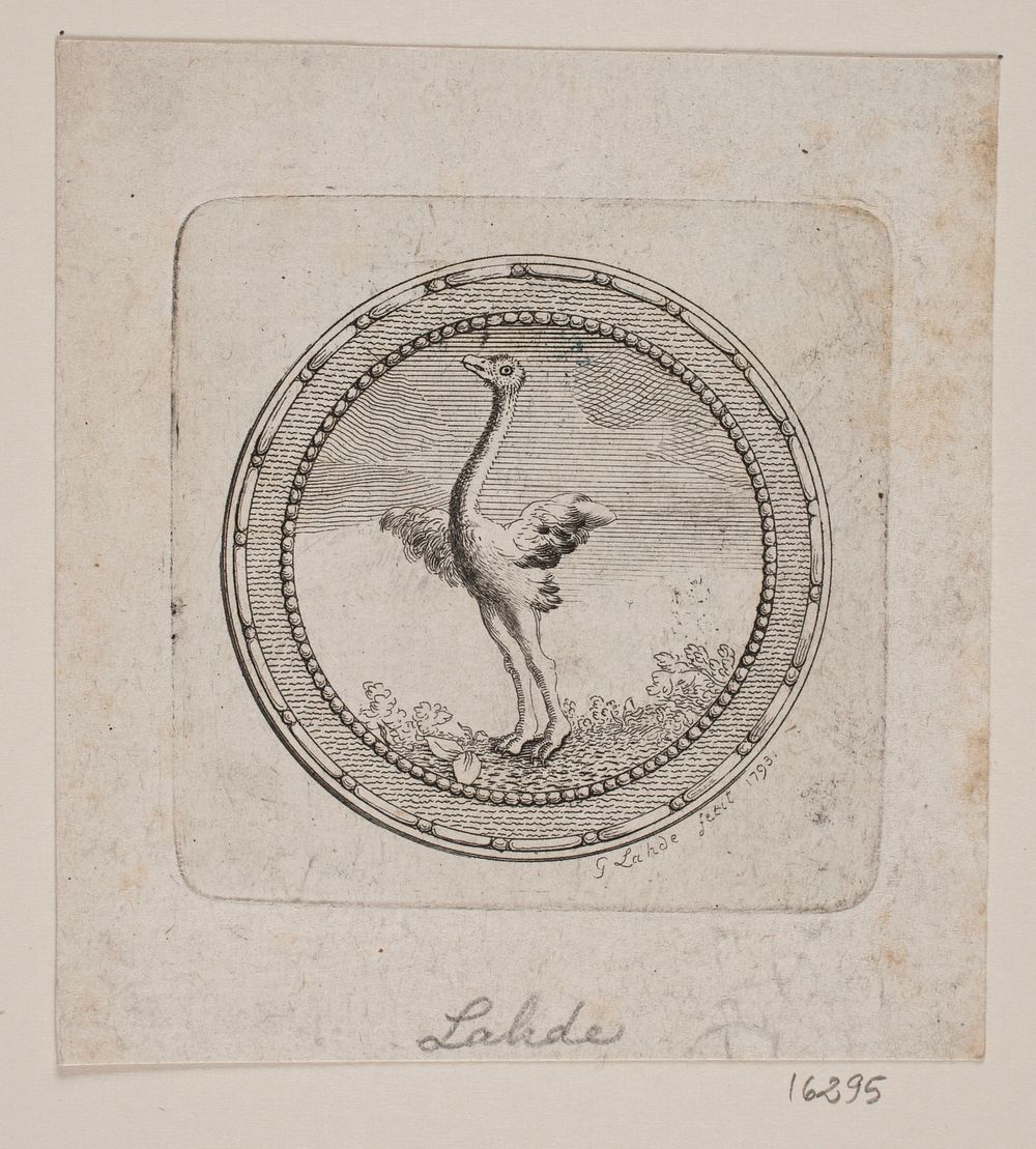 Oval vignette with ostrich by Gerhard Ludvig Lahde