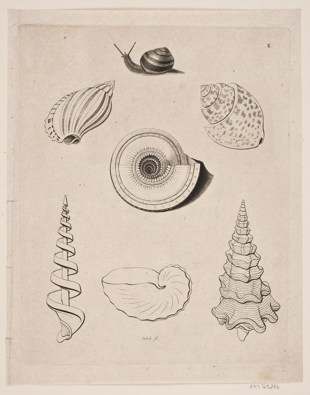 Chalkboard with snails by Gerhard Ludvig Lahde