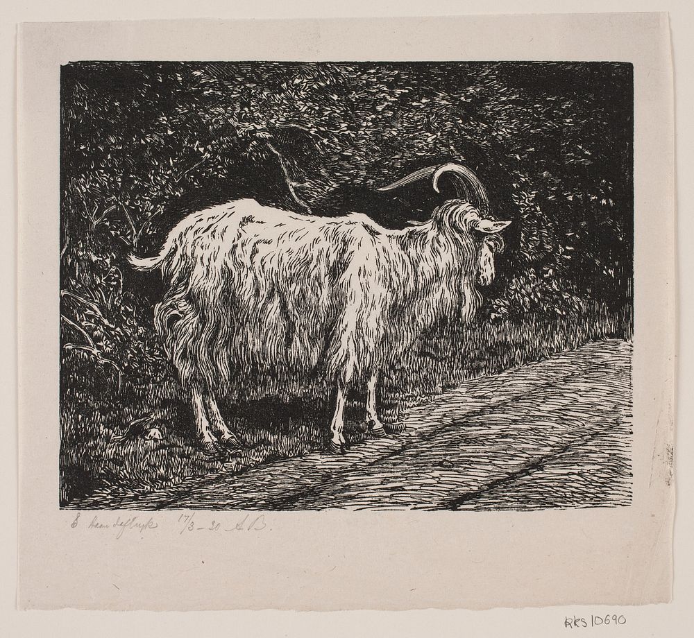 A goat by Alexander Blom