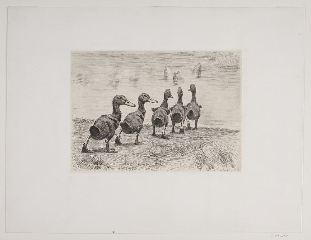 Five ducklings by Den Danske Radeerforening