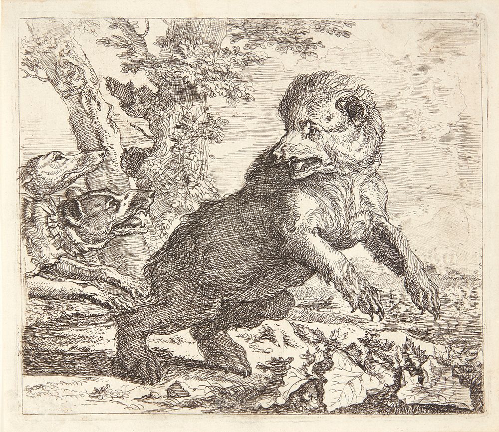 Bear chased by dogs, Abraham Hondius