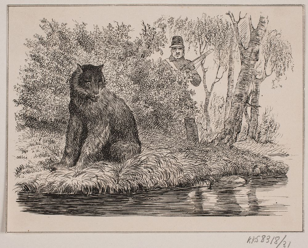 The bear by Johann Adolf Kittendorf