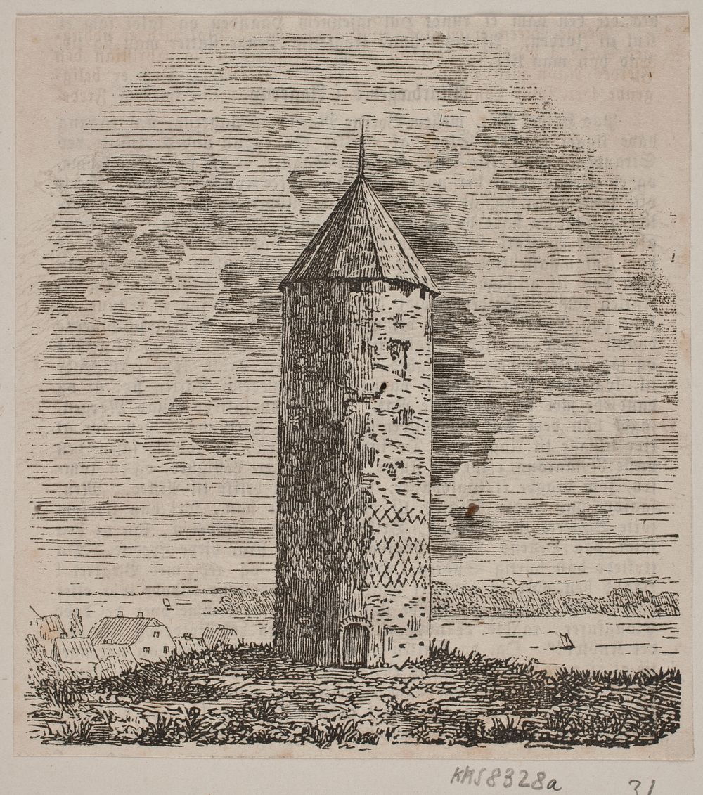 The Goose Tower  by Hans Christian Henneberg