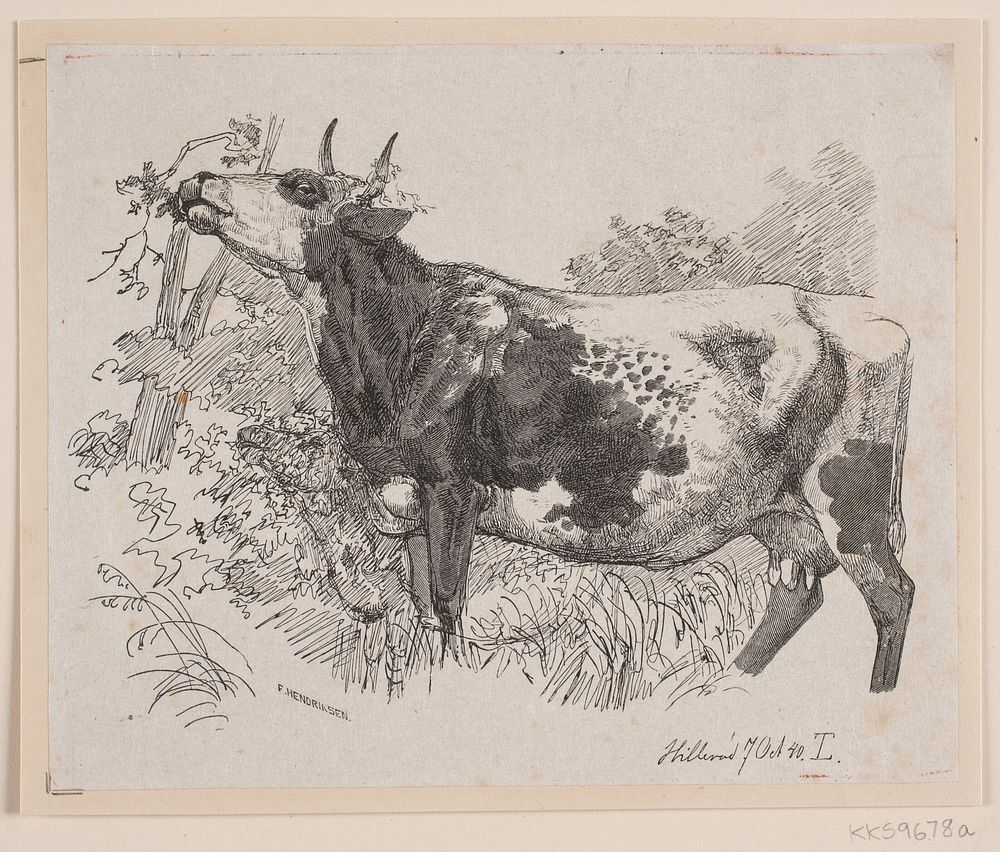 A cow stripping the branches of a tree  by Frederik Hendriksen