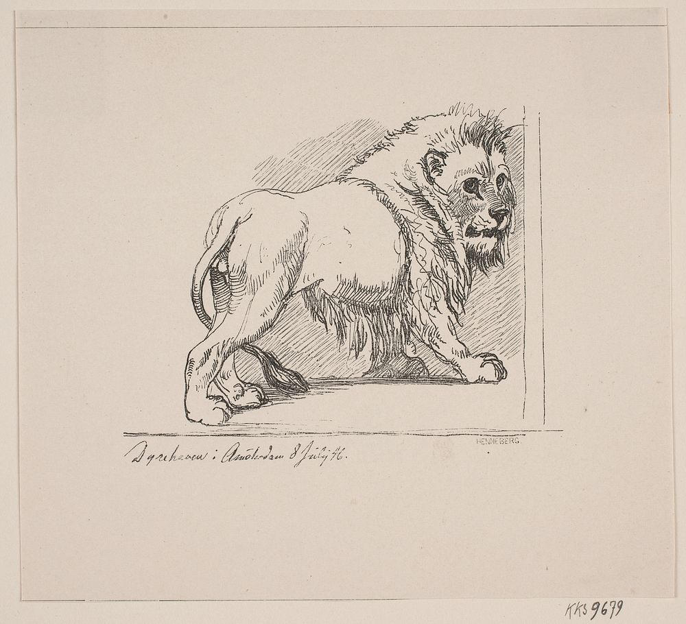 A lion in the zoo in Amsterdam July 8, 1846  by Hans Christian Henneberg
