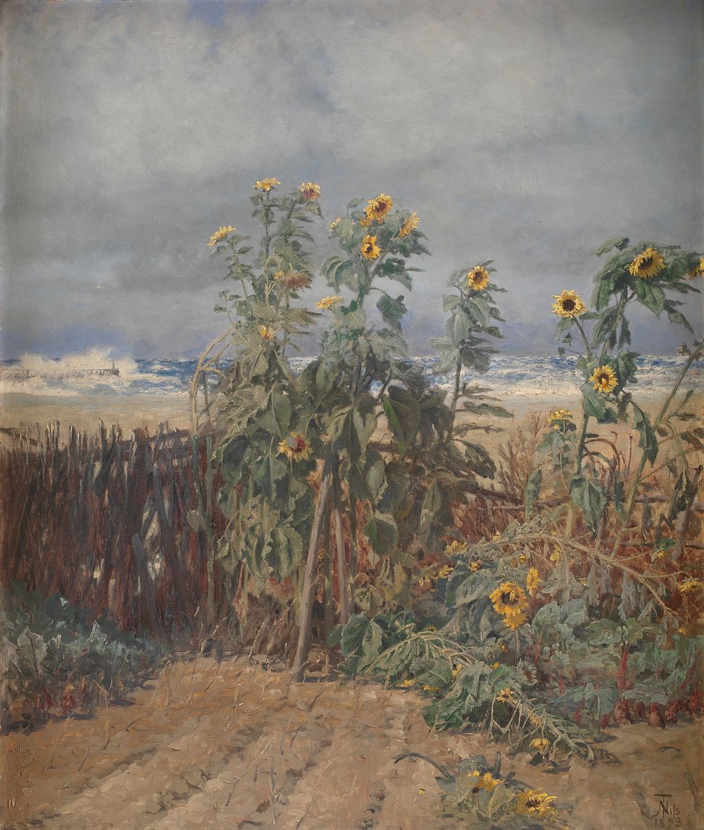 Sunflowers on a Beach by Thorvald Niss