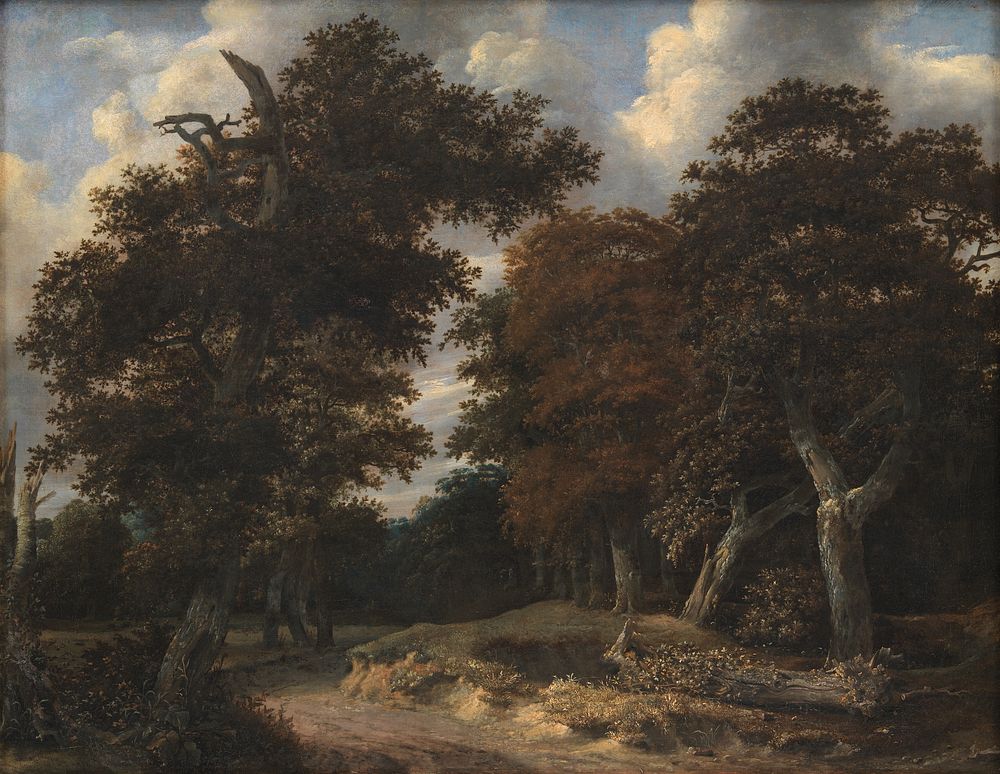 Road through an Oak Forest by Jacob Isaacksz Van Ruisdael