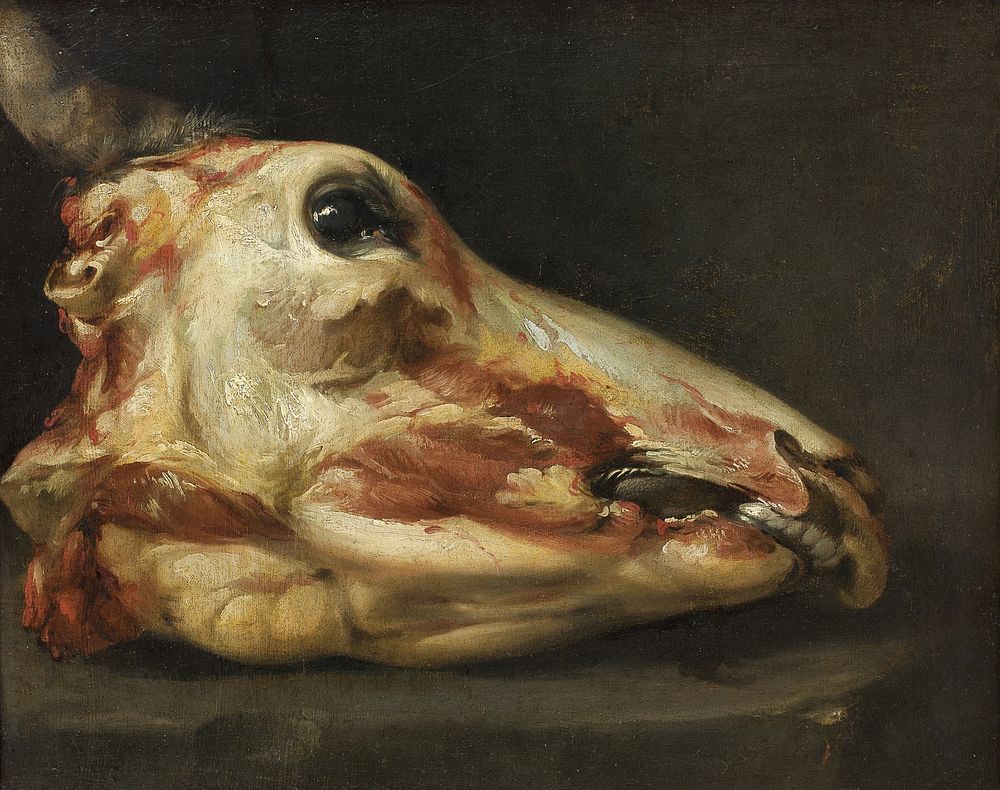Skinned Head of an Ox by Francisco Goya