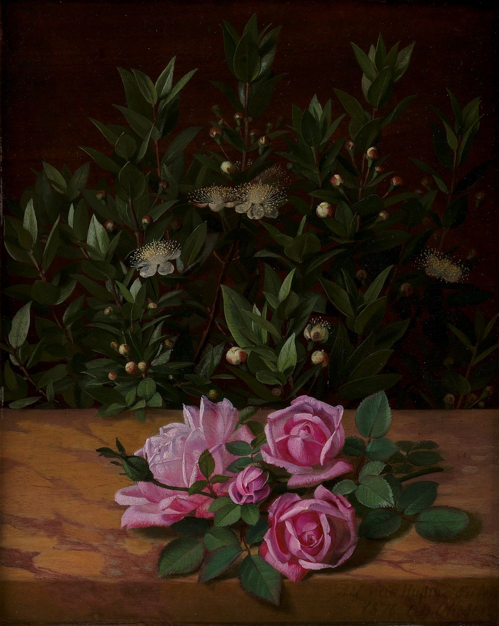 Roses and myrtles by Otto Diderich Ottesen