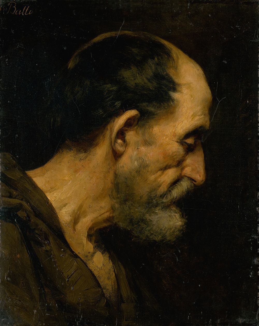 Head study of an old man