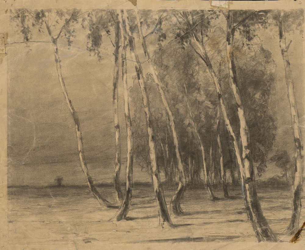 Group of birch trees in a flat landscape