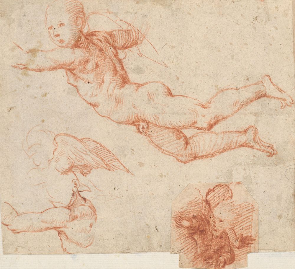Anatomical study of floating boyish nude