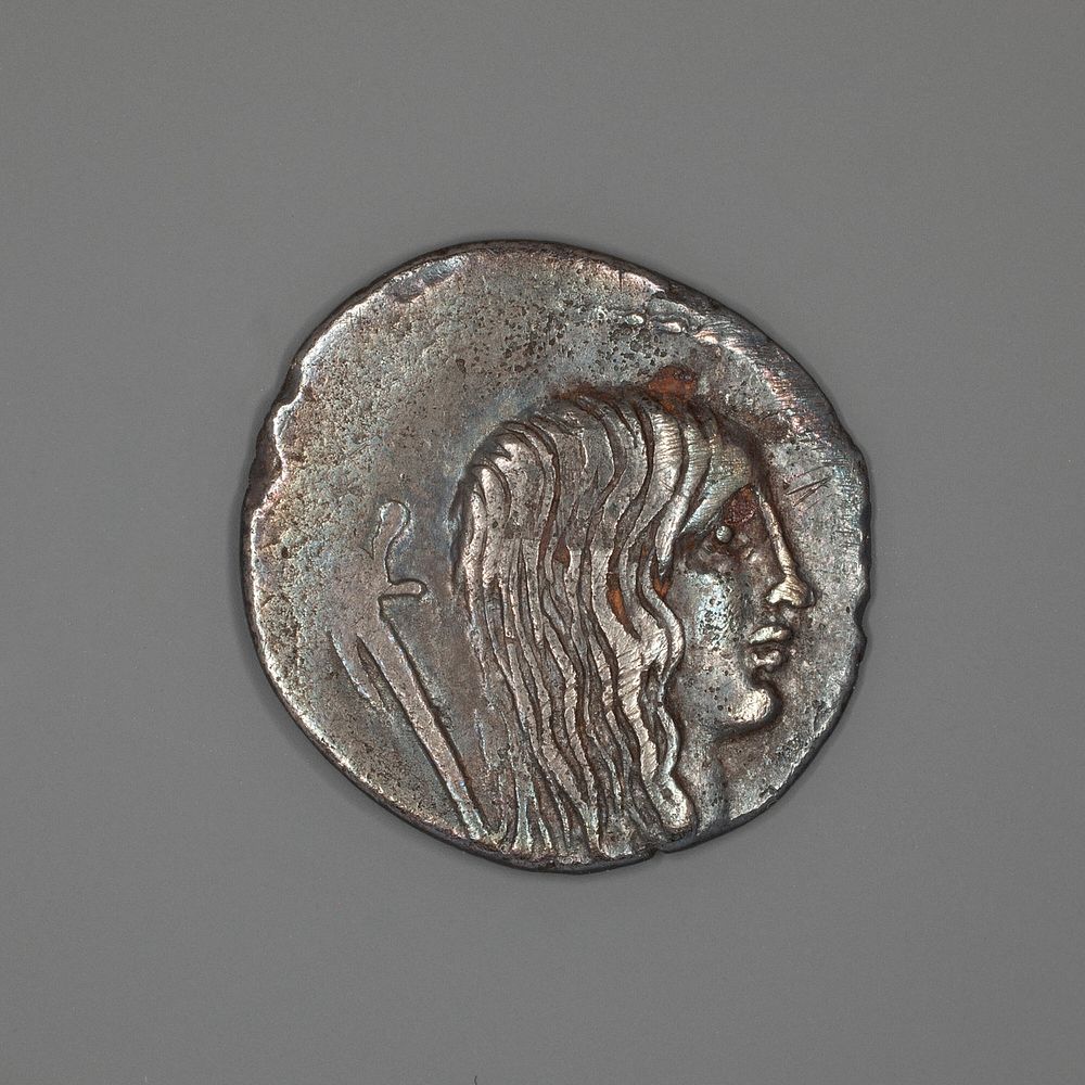 Denarius (Coin) Depicting a Female Head by Ancient Roman