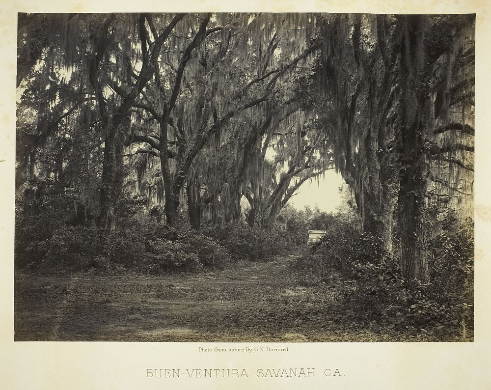 Buen-Ventura Savannah, Ga. by George N. Barnard