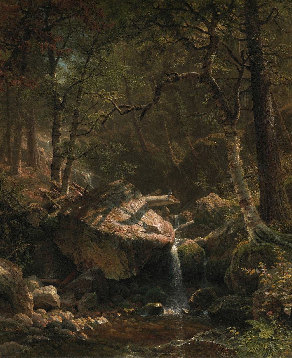 Mountain Brook by Albert Bierstadt