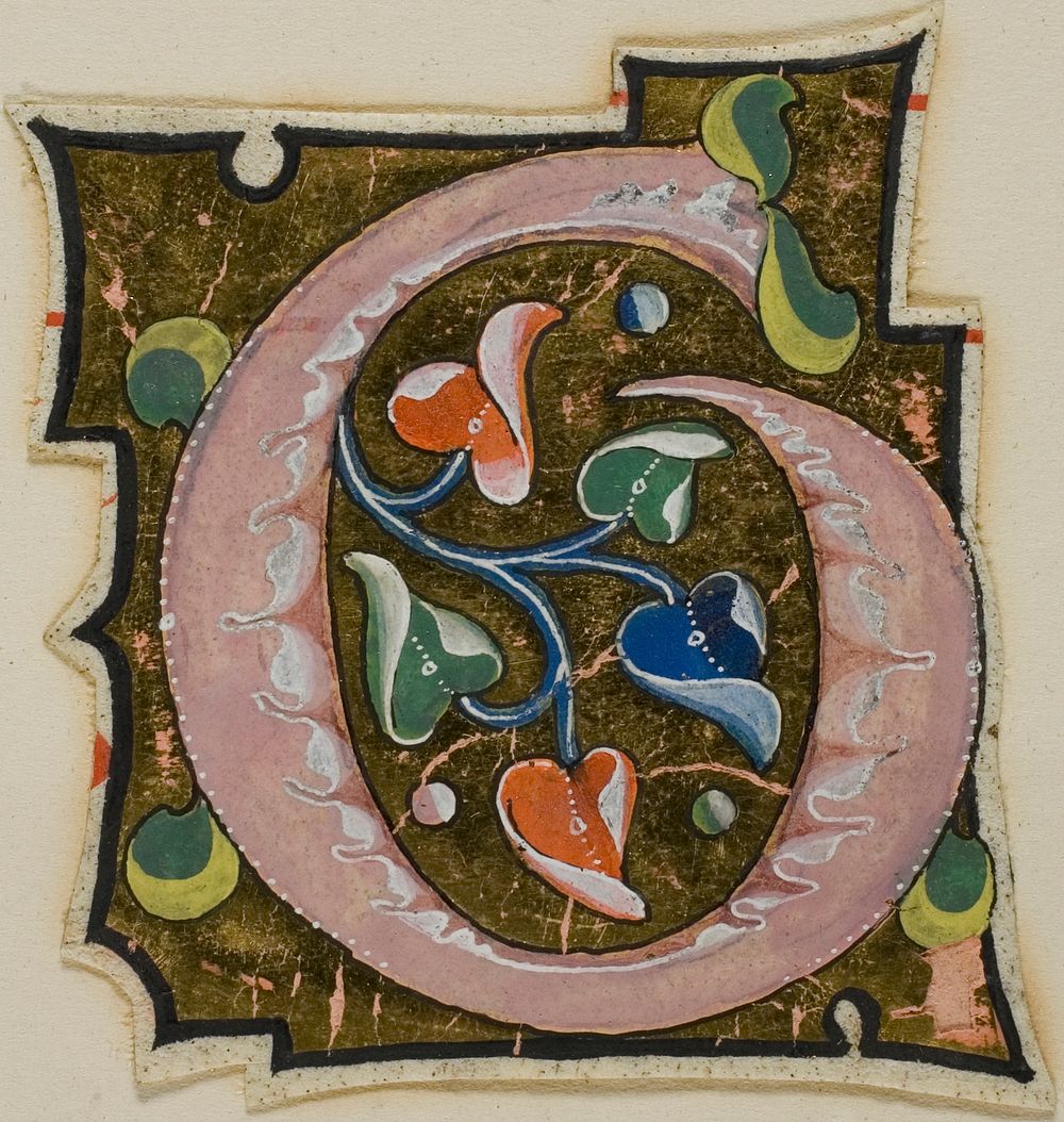 Decorated Initial "G" in Pink with Curling Leaves from a Manuscript