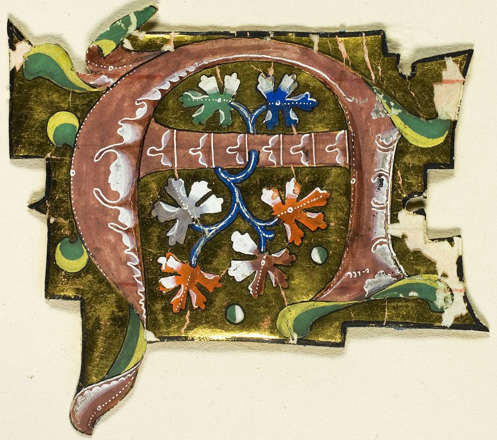 Decorated Initial "A" in Pink with Six Oak Leaves from a Manuscript