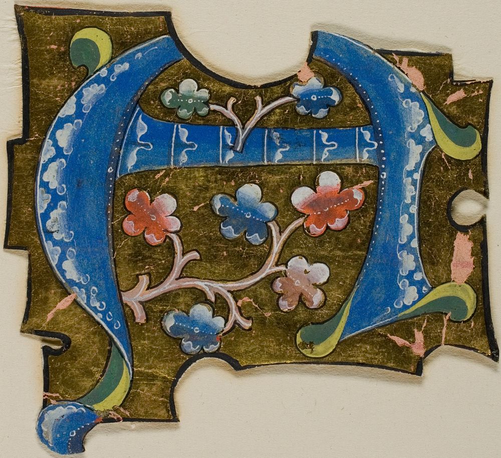 Decorated Initial "A" in Blue with Leaves from a Manuscript